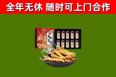黄陂区回收冬虫夏草价格