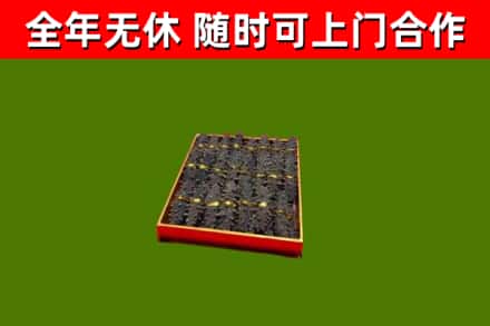黄陂区回收海参